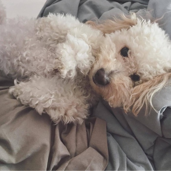 Meet your Posher, Christine - Picture 2 of 3